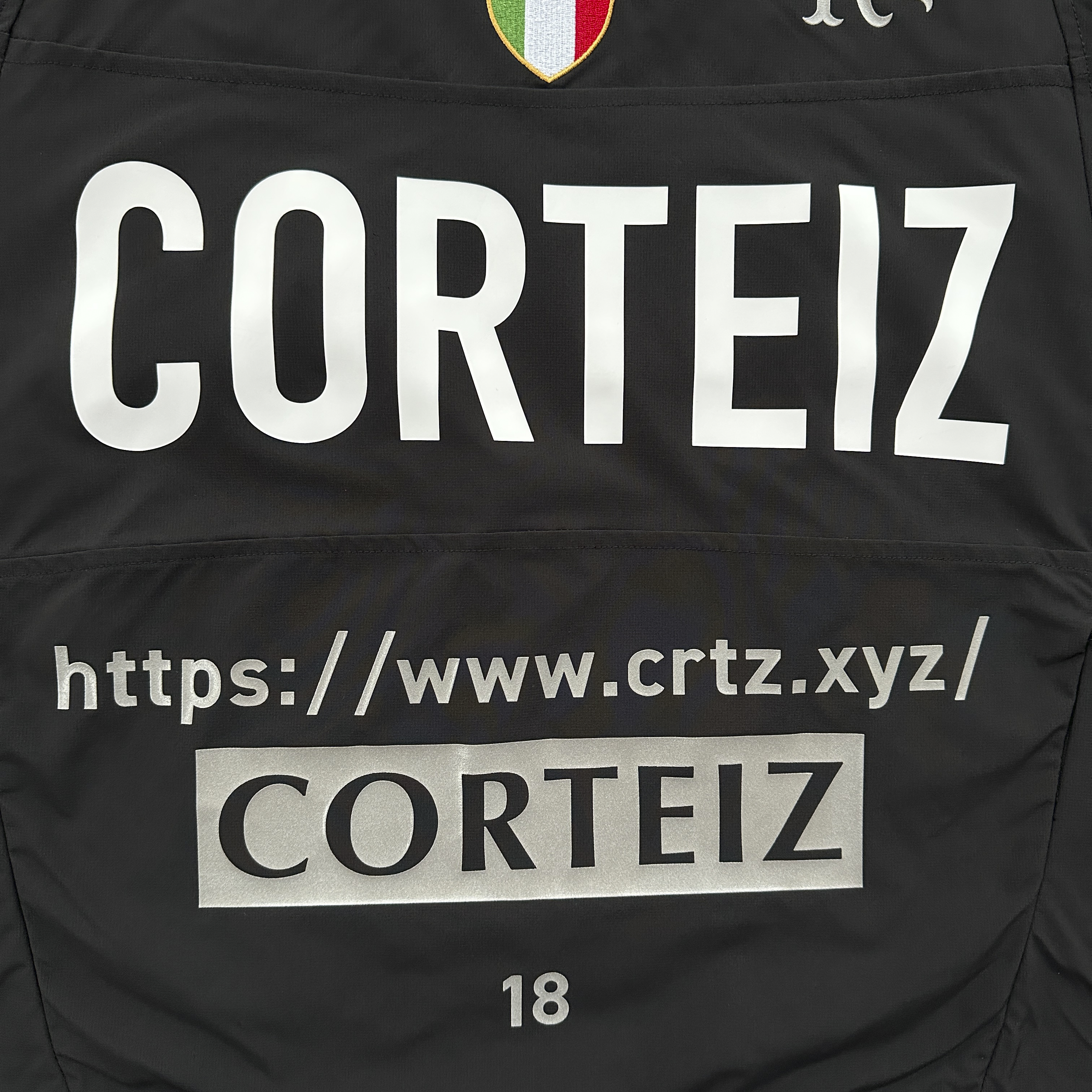 COETEIZ SPONSOR TRAINING PULLOVER