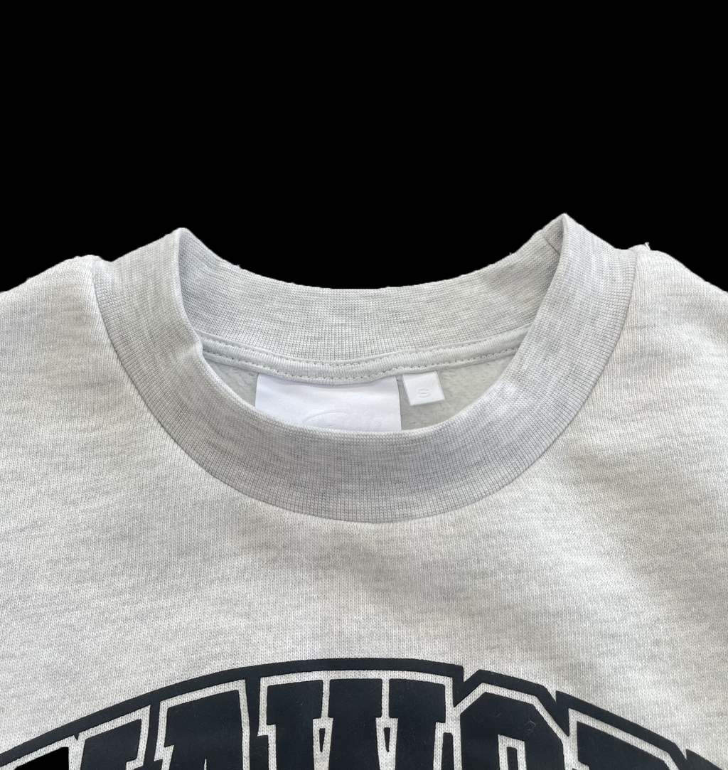 SYNA COLLEGE CREW SWEATER (GREY)
